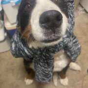 ヒメ日記 2025/06/30 16:30 投稿 れいか 豊満倶楽部