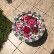 ヒメ日記 2025/07/05 15:22 投稿 れいか 豊満倶楽部