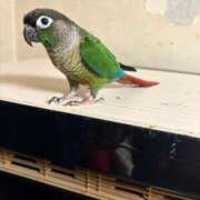 ヒメ日記 2025/07/23 15:40 投稿 れいか 豊満倶楽部