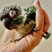 ヒメ日記 2025/07/27 05:00 投稿 れいか 豊満倶楽部