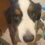 ヒメ日記 2025/08/01 06:40 投稿 れいか 豊満倶楽部