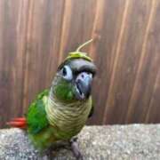 ヒメ日記 2025/08/07 04:40 投稿 れいか 豊満倶楽部