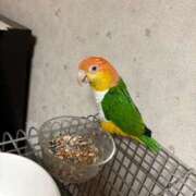 ヒメ日記 2025/08/20 17:10 投稿 れいか 豊満倶楽部