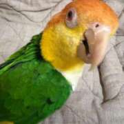 ヒメ日記 2025/09/05 16:30 投稿 れいか 豊満倶楽部