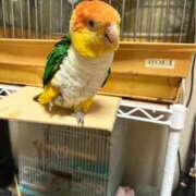 ヒメ日記 2025/09/26 20:50 投稿 れいか 豊満倶楽部