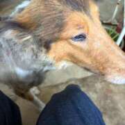 ヒメ日記 2025/09/27 18:29 投稿 れいか 豊満倶楽部