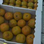 ヒメ日記 2025/10/08 13:50 投稿 れいか 豊満倶楽部