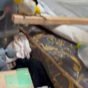 ヒメ日記 2025/10/14 15:57 投稿 れいか 豊満倶楽部