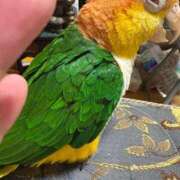 ヒメ日記 2025/10/17 12:50 投稿 れいか 豊満倶楽部