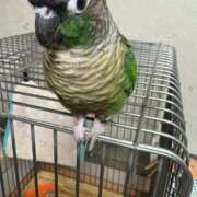 ヒメ日記 2025/10/31 16:21 投稿 れいか 豊満倶楽部