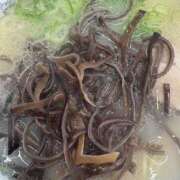 ヒメ日記 2025/11/13 04:20 投稿 れいか 豊満倶楽部