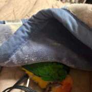 ヒメ日記 2025/11/17 13:50 投稿 れいか 豊満倶楽部