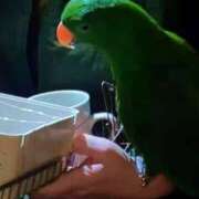 ヒメ日記 2025/11/21 12:30 投稿 れいか 豊満倶楽部