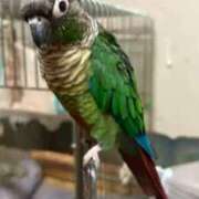 ヒメ日記 2025/12/03 16:50 投稿 れいか 豊満倶楽部