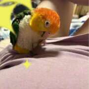 ヒメ日記 2025/12/06 08:20 投稿 れいか 豊満倶楽部