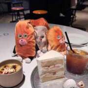 ヒメ日記 2025/12/06 21:00 投稿 れいか 豊満倶楽部