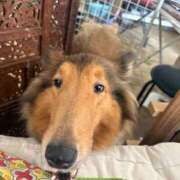 ヒメ日記 2025/12/07 12:01 投稿 れいか 豊満倶楽部