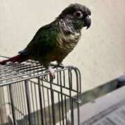 れいか おはようございます 豊満倶楽部