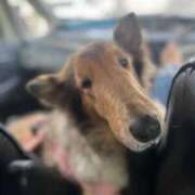 ヒメ日記 2025/12/12 14:30 投稿 れいか 豊満倶楽部