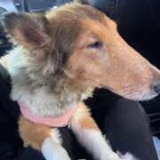 れいか おはようございます 豊満倶楽部