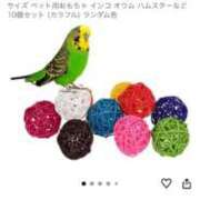 ヒメ日記 2025/12/18 10:10 投稿 れいか 豊満倶楽部