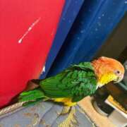 ヒメ日記 2026/01/05 13:55 投稿 れいか 豊満倶楽部