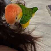 ヒメ日記 2026/01/06 04:00 投稿 れいか 豊満倶楽部