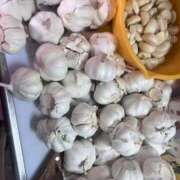 ヒメ日記 2026/01/09 18:28 投稿 れいか 豊満倶楽部