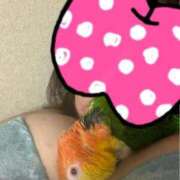 ヒメ日記 2026/02/02 04:00 投稿 れいか 豊満倶楽部