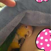 ヒメ日記 2026/02/03 05:40 投稿 れいか 豊満倶楽部