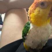 ヒメ日記 2026/02/15 06:10 投稿 れいか 豊満倶楽部