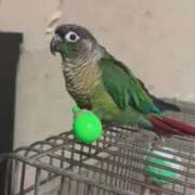 ヒメ日記 2026/02/16 04:20 投稿 れいか 豊満倶楽部