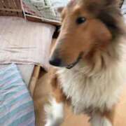 ヒメ日記 2026/02/19 15:30 投稿 れいか 豊満倶楽部