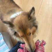 ヒメ日記 2026/03/05 16:00 投稿 れいか 豊満倶楽部