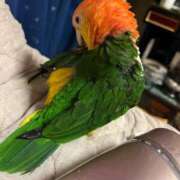 ヒメ日記 2026/03/24 06:00 投稿 れいか 豊満倶楽部