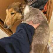 ヒメ日記 2026/03/26 17:02 投稿 れいか 豊満倶楽部