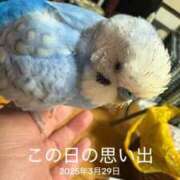 ヒメ日記 2026/03/30 15:20 投稿 れいか 豊満倶楽部