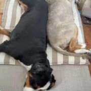 ヒメ日記 2026/04/07 14:00 投稿 れいか 豊満倶楽部