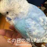 ヒメ日記 2026/04/10 23:20 投稿 れいか 豊満倶楽部