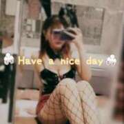 Fuwari スペシャルテンキュー！！！( *´艸｀) THE PREMIUM （プレミアム）