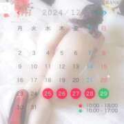 ヒメ日記 2024/12/18 23:48 投稿 一ノ瀬ふたば コウテイ