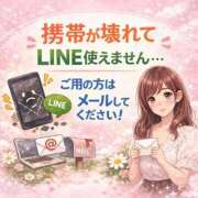 ヒメ日記 2026/04/02 12:08 投稿 一ノ瀬ふたば コウテイ
