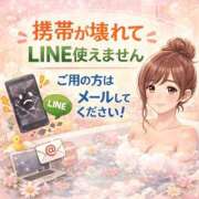 ヒメ日記 2026/04/03 20:05 投稿 一ノ瀬ふたば コウテイ