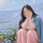 ヒメ日記 2026/04/27 18:17 投稿 一ノ瀬ふたば コウテイ