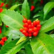 ヒメ日記 2024/12/27 22:38 投稿 みずほ 人妻の楽園（博多）