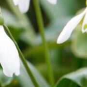 ヒメ日記 2025/02/02 02:26 投稿 みずほ 人妻の楽園（博多）