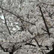 ヒメ日記 2025/03/30 01:18 投稿 みずほ 人妻の楽園（博多）