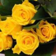 ヒメ日記 2025/06/15 22:18 投稿 みずほ 人妻の楽園（博多）