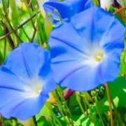 ヒメ日記 2025/08/01 00:28 投稿 みずほ 人妻の楽園（博多）