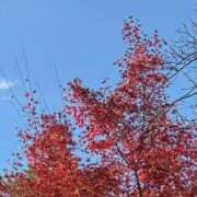 ヒメ日記 2025/11/24 23:03 投稿 みずほ 人妻の楽園（博多）